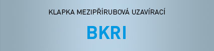 BKRI_t.jpg, 20kB